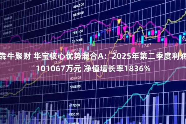 犇牛聚财 华宝核心优势混合A：2025年第二季度利润101067万元 净值增长率1836%