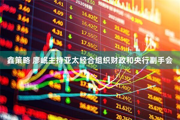 鑫策略 廖岷主持亚太经合组织财政和央行副手会