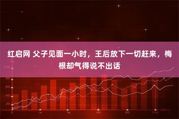 红启网 父子见面一小时，王后放下一切赶来，梅根却气得说不出话